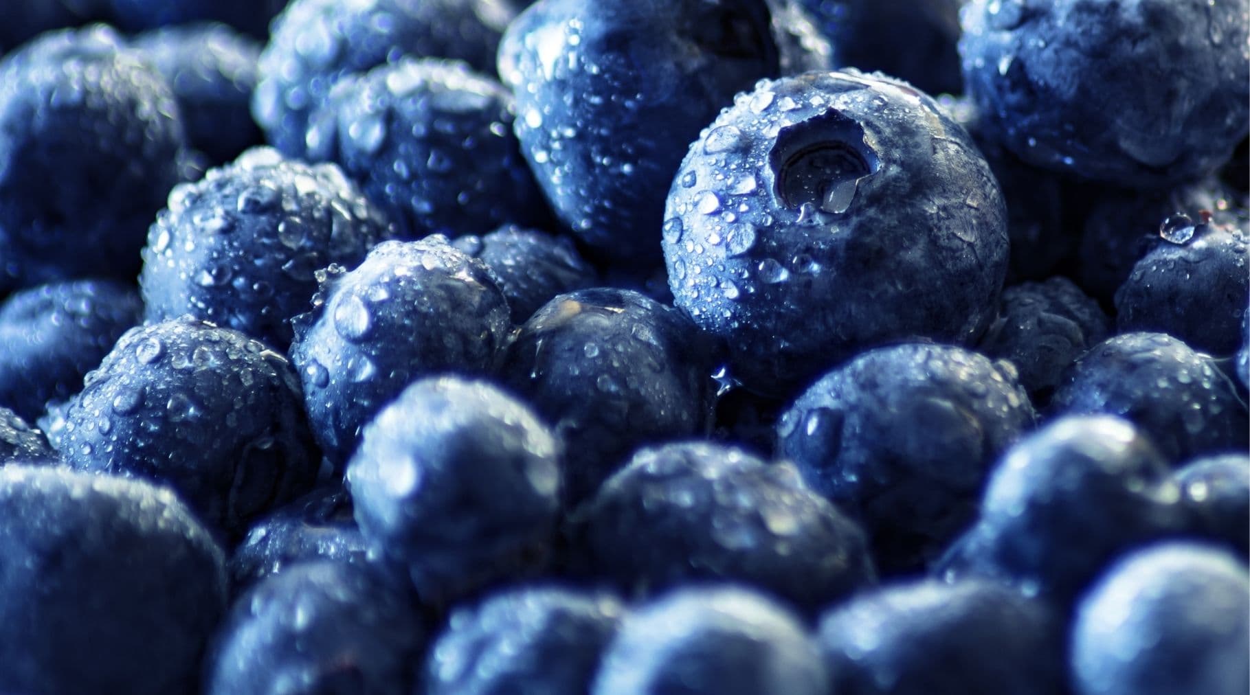 development & production
of food